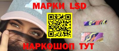 скорость Дубна