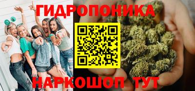 стаф Донецк