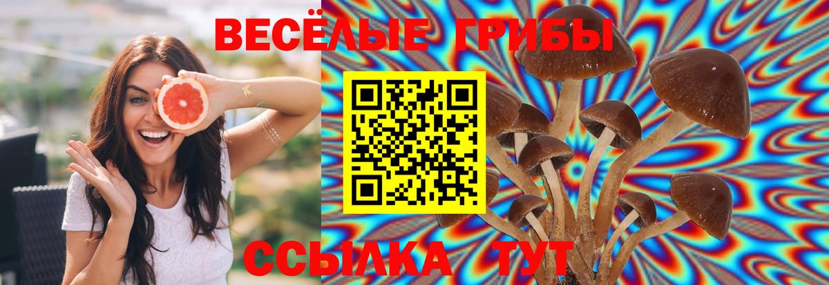 Мирный  Псилоцибиновые грибы ЛСД  Вход с VPN 